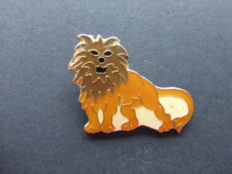 Sterrenbeeld leeuw teken van de dierenriem